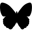 Papillon 3