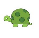 Tortue