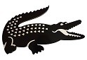 Crocodile 1