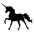 Licorne 1